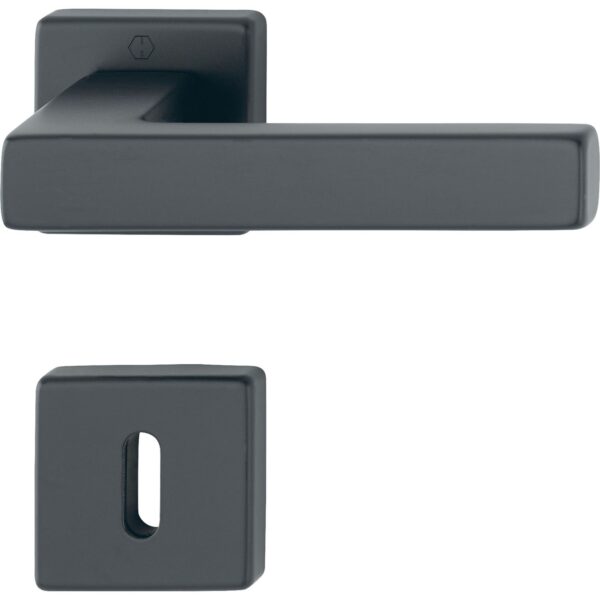 Črna kljuka za vrata AUSTIN s rozeto, BB, HOPPE